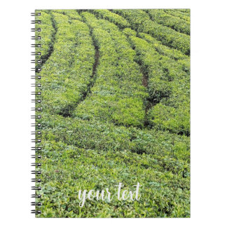 Tea gardens of Munnar on Notebook
