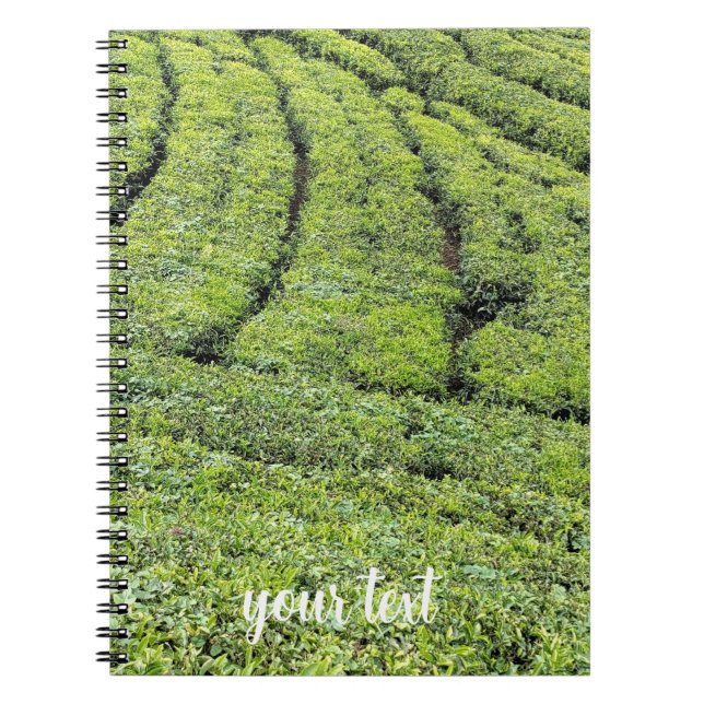 Tea gardens of Munnar on  Notebook (Front)