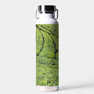 Tea gardens of Munnar on water bottle