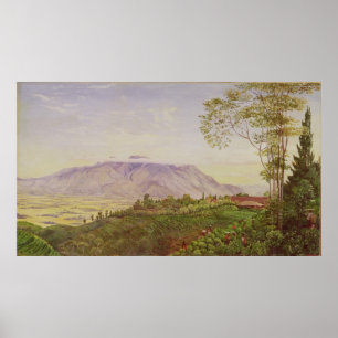 Tea Gathering in Mr Hoelle's plantation at Poster