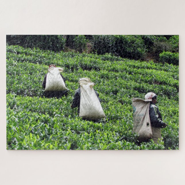 tea plantation working jigsaw puzzle (Horizontal)