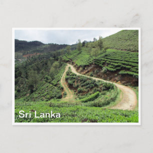 tea plantations sri lanka postcard