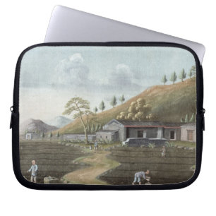 Tea planting (w/c on paper) laptop sleeve