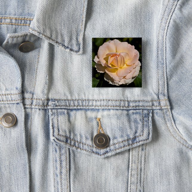 Tea Rose 15 Cm Square Badge (In Situ)