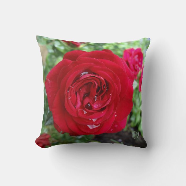 Tea Rose 16" x 16" Cushion (Front)