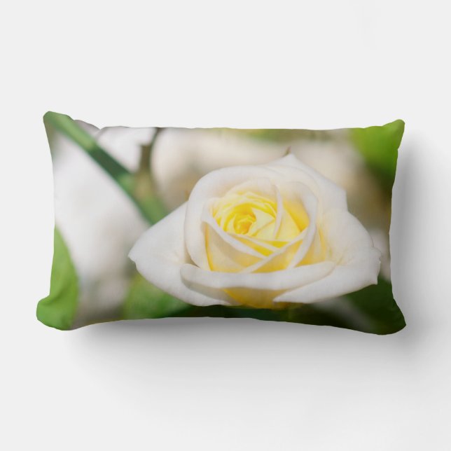 Tea rose lumbar cushion (Front)