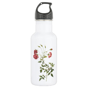tea rose(Rosa indica sertulata) by Redouté 532 Ml Water Bottle