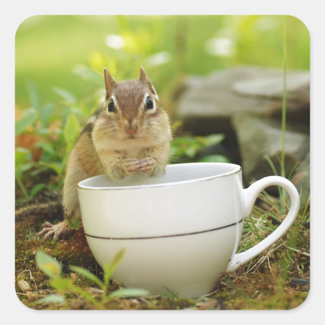 Tea Time Chipmunk Square Sticker (Front)