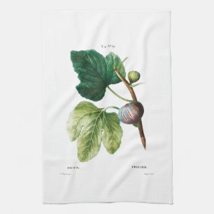 TEA TOWEL : REDOUTÉ : FIGS