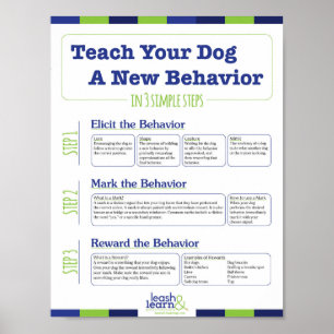 Teach Your Dog a New Behaviour in 3 Easy Steps Poster