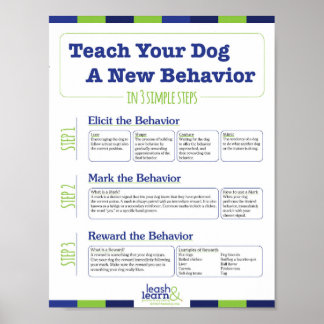 Teach Your Dog a New Behaviour in 3 Easy Steps Poster