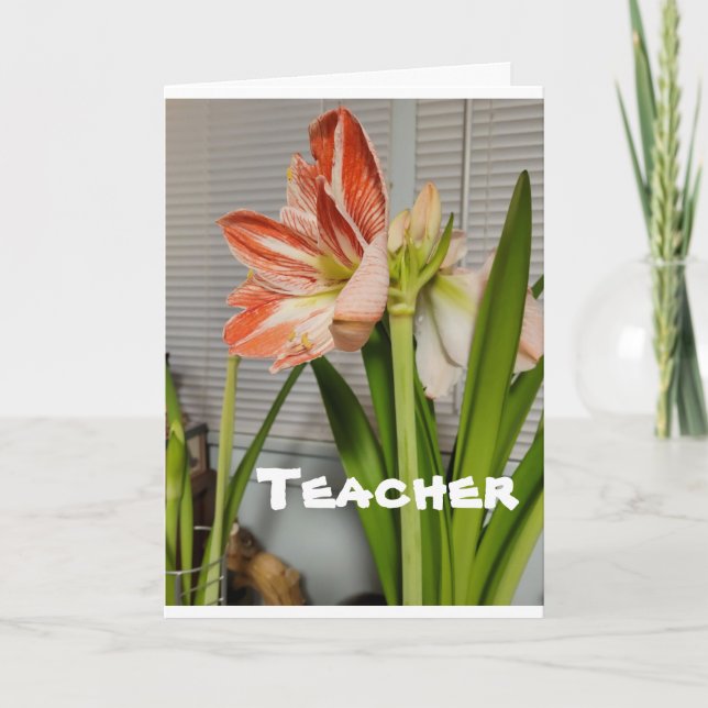**TEACHER** AT EASTER-EASTER CARD (Front)