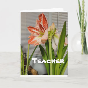 **TEACHER** AT EASTER-EASTER CARD