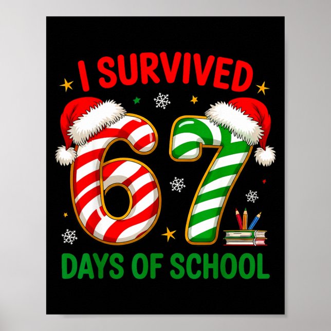 Teacher Christmas Funny Meme I Survived 67 Days Of Poster (Front)