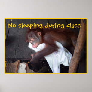 Teacher Classroom Rules Poster