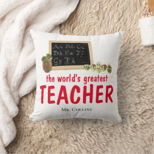 Teacher gift pillow educator funny gift teacher