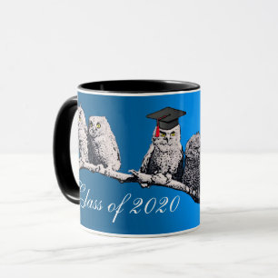 TEACHER OWL, LITTLE OWLS GRADUATION PARTY Blue Mug