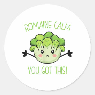 Teacher Testing Romaine Calm You Got This Classic Round Sticker