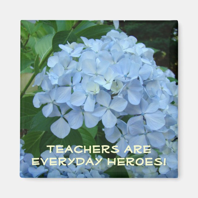 Teachers are Everyday Heroes! magnet Hydrangeas (Front)