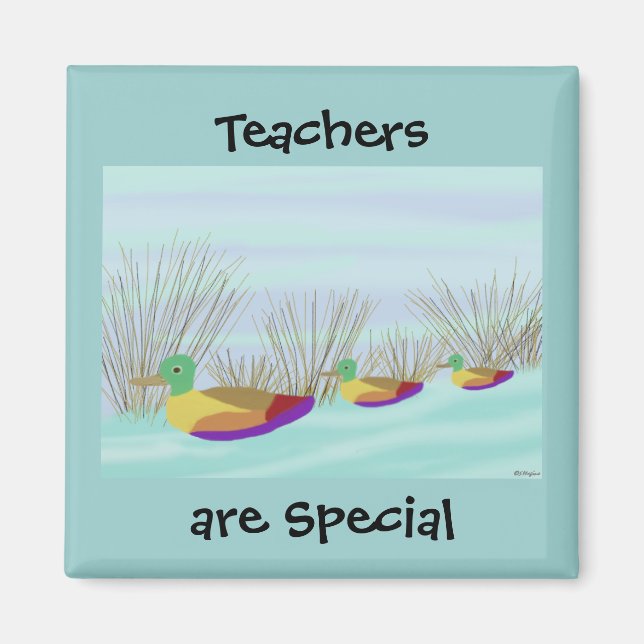 Teachers are Special Duck Magnet (Front)