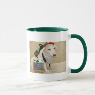 Teacher's Mug