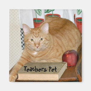 Teacher's Pet Magnet