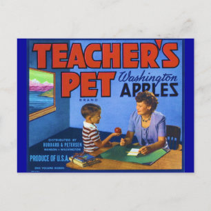 Teacher's Pet Postcard