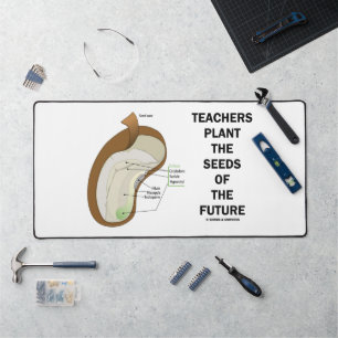 Teachers Plant The Seeds Of The Future Bean Seed Desk Mat