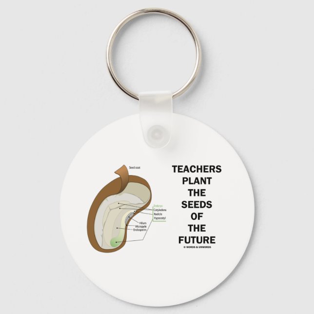 Teachers Plant The Seeds Of The Future (Bean Seed) Key Ring (Front)