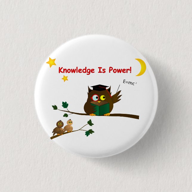 Teaching Wise Owl 3 Cm Round Badge (Front)
