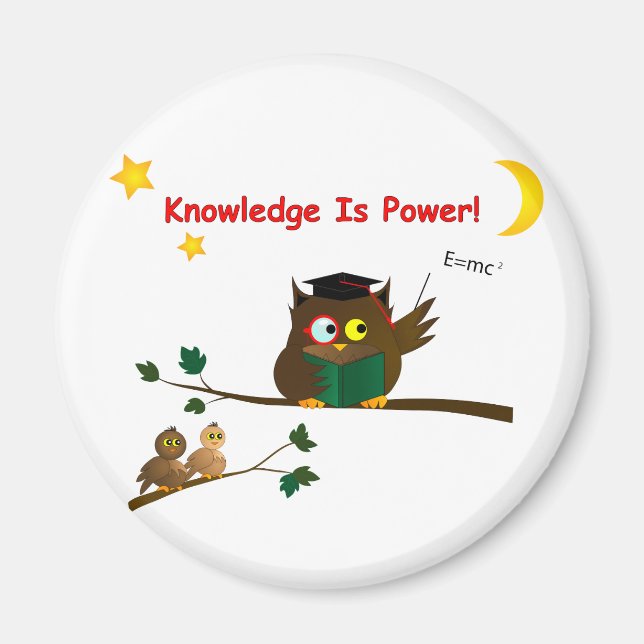 Teaching Wise Owl Magnet (Front)