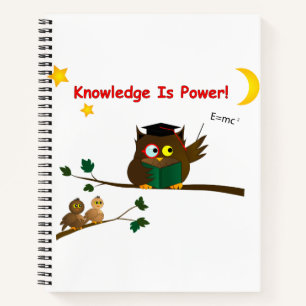 Teaching Wise Owl Notebook