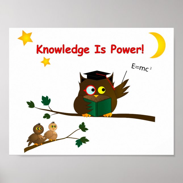 Teaching Wise Owl Poster (Front)