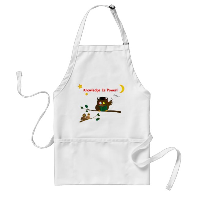 Teaching Wise Owl Standard Apron (Front)