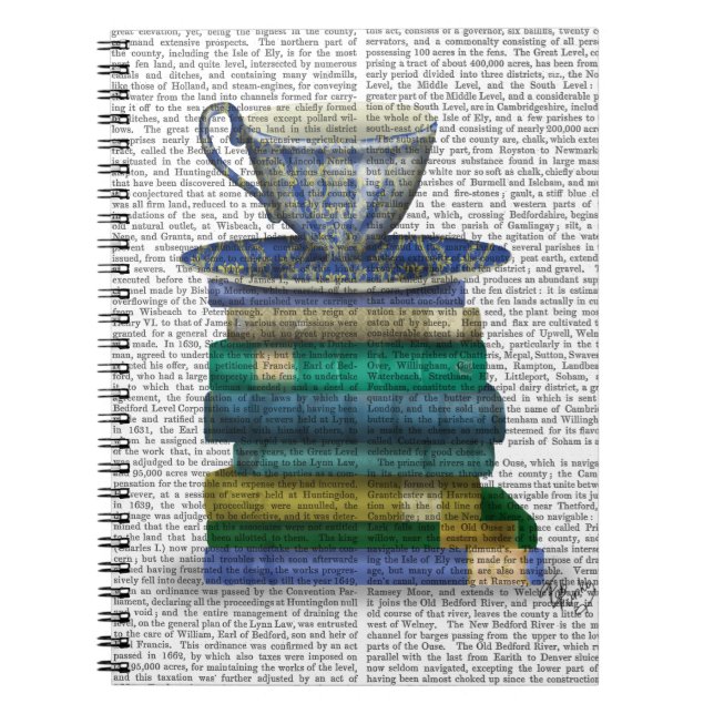 Teacup and Books (Front)