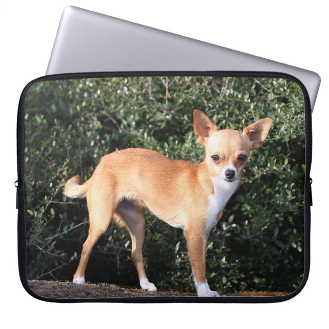 Teacup Chihuahua Puppy Laptop Sleeve (Front)