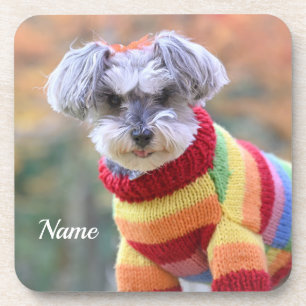 Teacup Schnauzer Puppy Dog in a Sweater Coaster
