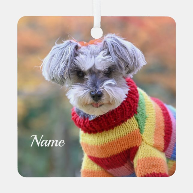 Teacup Schnauzer Puppy Dog in a Sweater Metal Tree Decoration (Back)