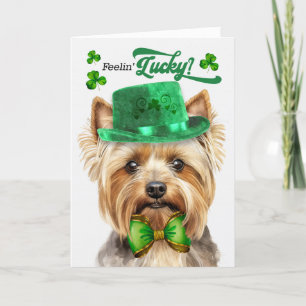 Teacup Yorkie Dog Feelin' Lucky St Patrick's Day Holiday Card