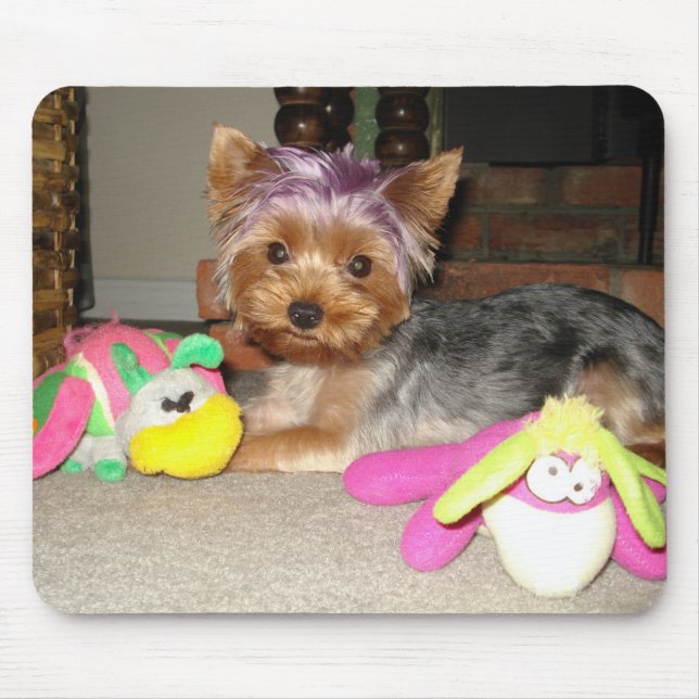 Teacup Yorkie Purple Princess  Mouse Pad (Front)