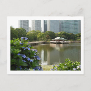 Teahouse at Hama-rikyu Gardens: Tokyo Postcard