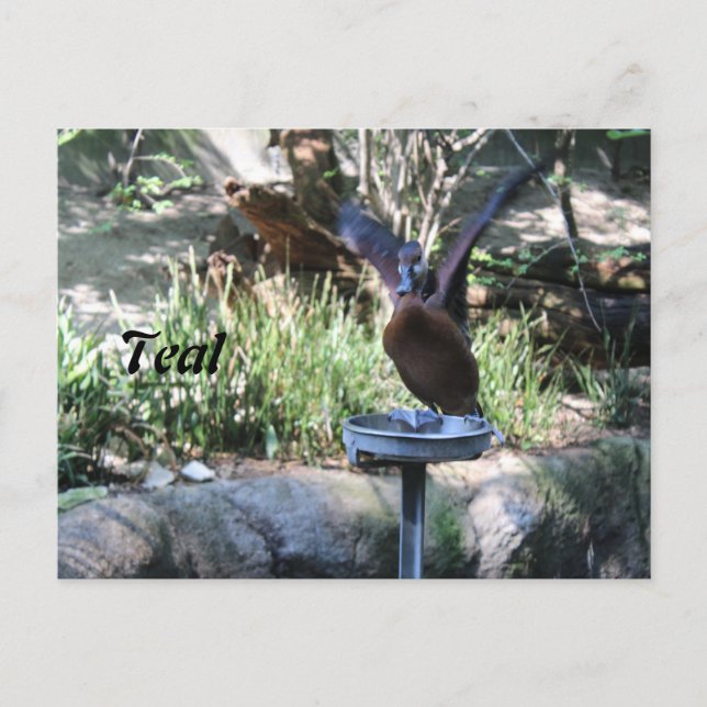 Teal # 2 postcard (Front)