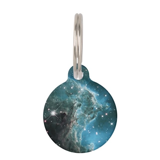 Teal Blue Coloured Monkey Head Nebula Pet Tag (Front)