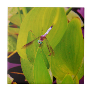 Teal Blue Dragonfly on Green Leaf. Ceramic Tile