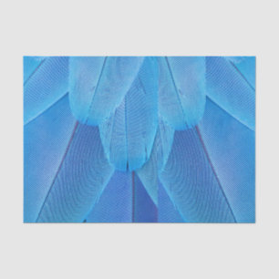 Teal Blue Feathers of the Macaw Parrot Tissue Paper
