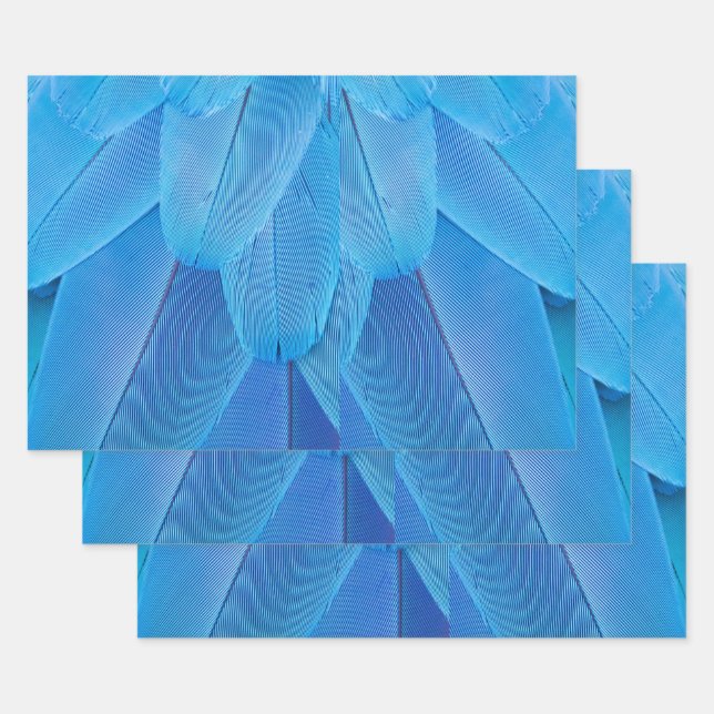 Teal Blue Feathers of the Macaw Parrot Wrapping Paper Sheet (Set)