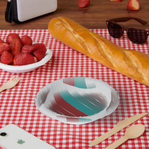 Teal burgundy spinning paper plate
