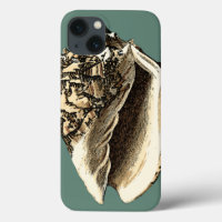Teal Conch Shell