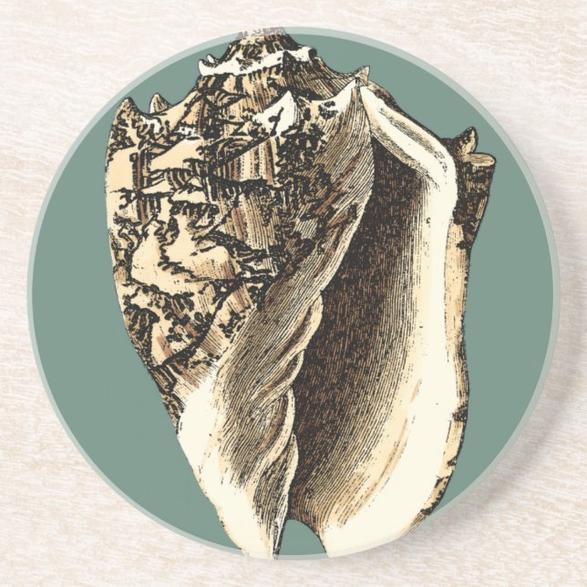 Teal Conch Shell Coaster (Front)