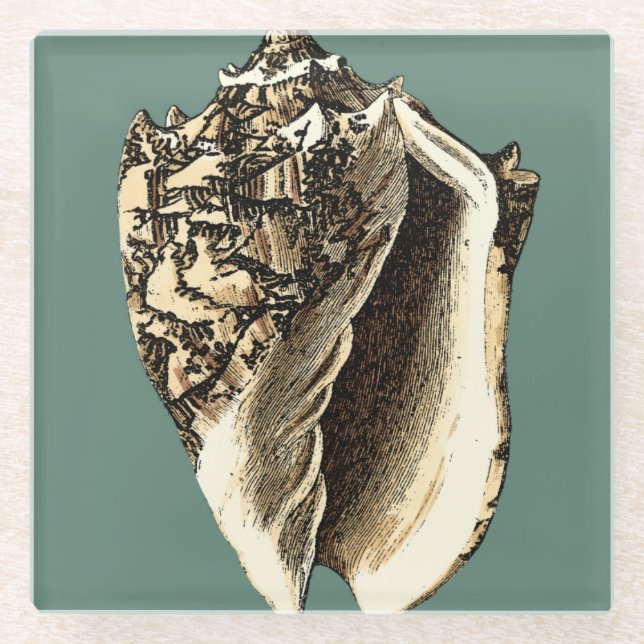 Teal Conch Shell Glass Coaster (Front)